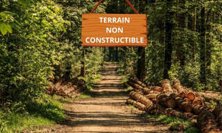 Terrain  8511 m² à vendre à Bussac-Forêt (17210)