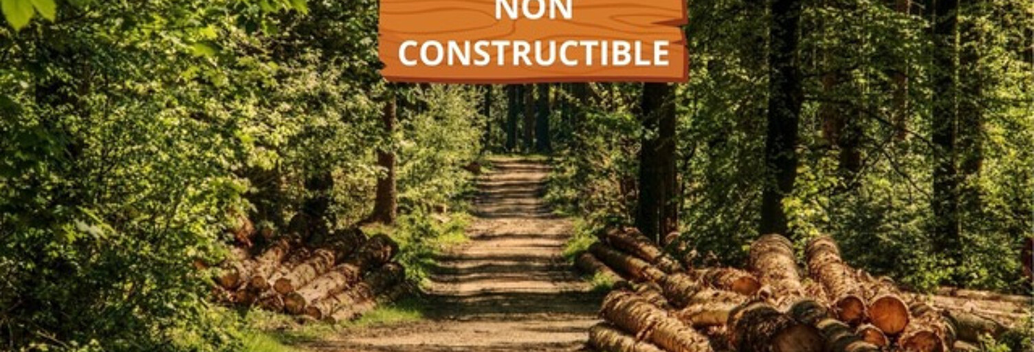 Terrain  8511 m² à vendre à Bussac-Forêt (17210)