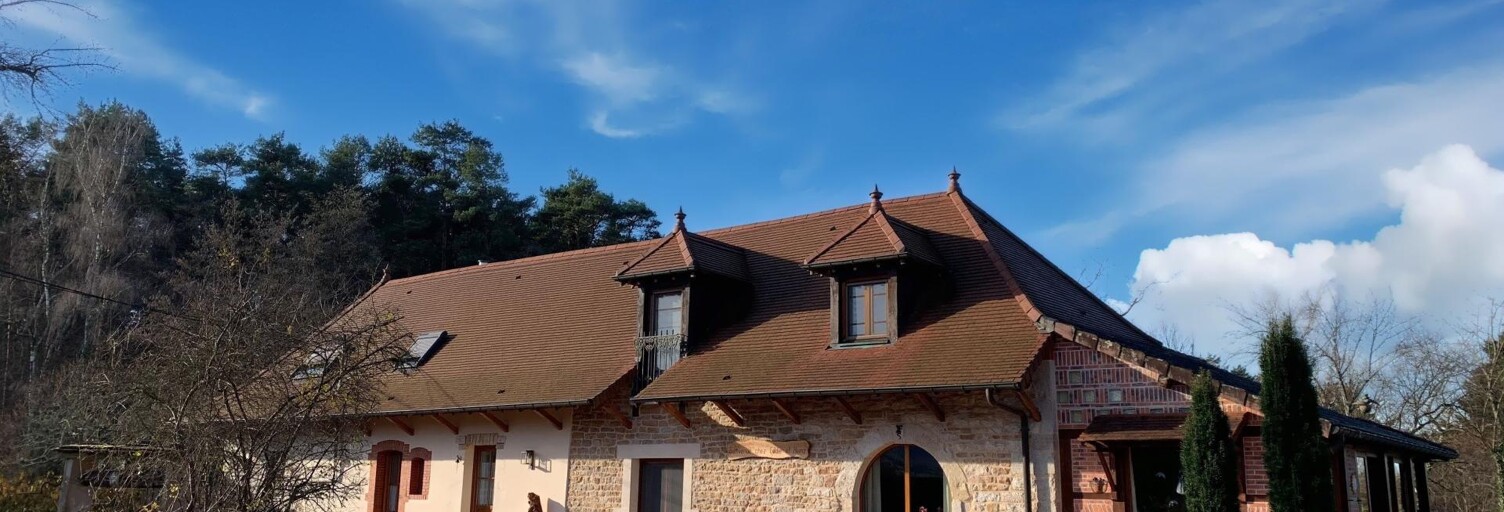 Maison 9 Pièces 289 m² à vendre à Augea (39190)