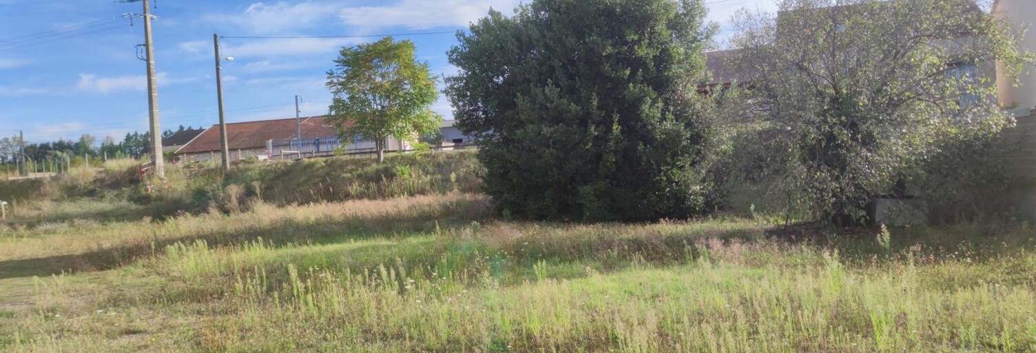 Terrain  800 m² à vendre à Varennes-sur-Allier (03150)