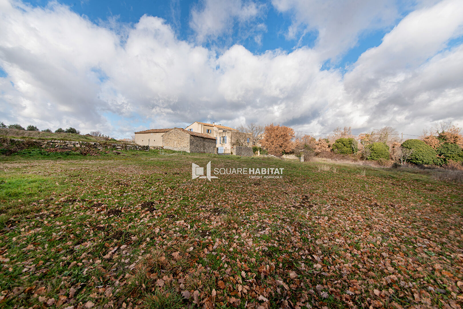 Agence immobilière de Square Habitat Apt