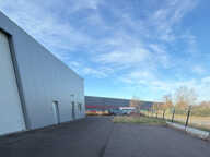 Local d'activité  950 m2 double peau — photo 4