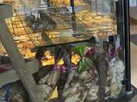 Vente Boulangerie 150 m&sup2; — photo 2