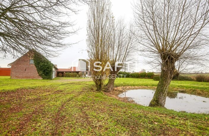 ANCIEN CORPS DE FERME AVEC CHAMBRES D'HÔTES ET DÉPENDANCES SUR UNE PARCELLE DE 8000 M2 À STEENVOORDE — photo 3