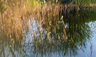 Terrain  3522 m² à vendre à Cappelle-Brouck (59630)