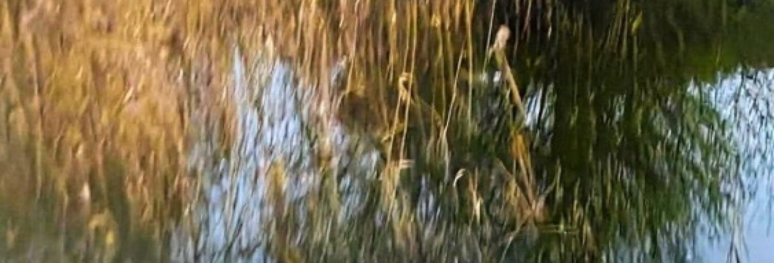 Terrain  3522 m² à vendre à Cappelle-Brouck (59630)