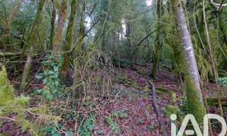 Terrain  6262 m² à vendre à Nancuise (39270)