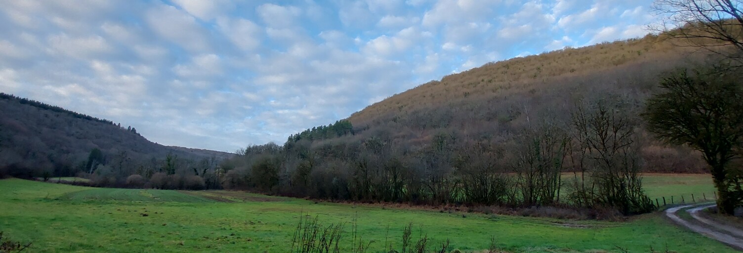 Photo N° 2