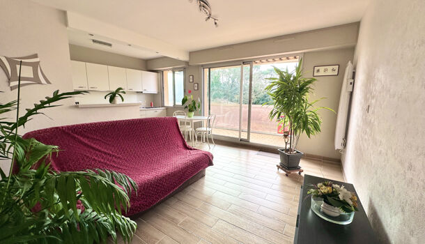 Appartement 1 pièces  à vendre Vaux-sur-Mer 17640