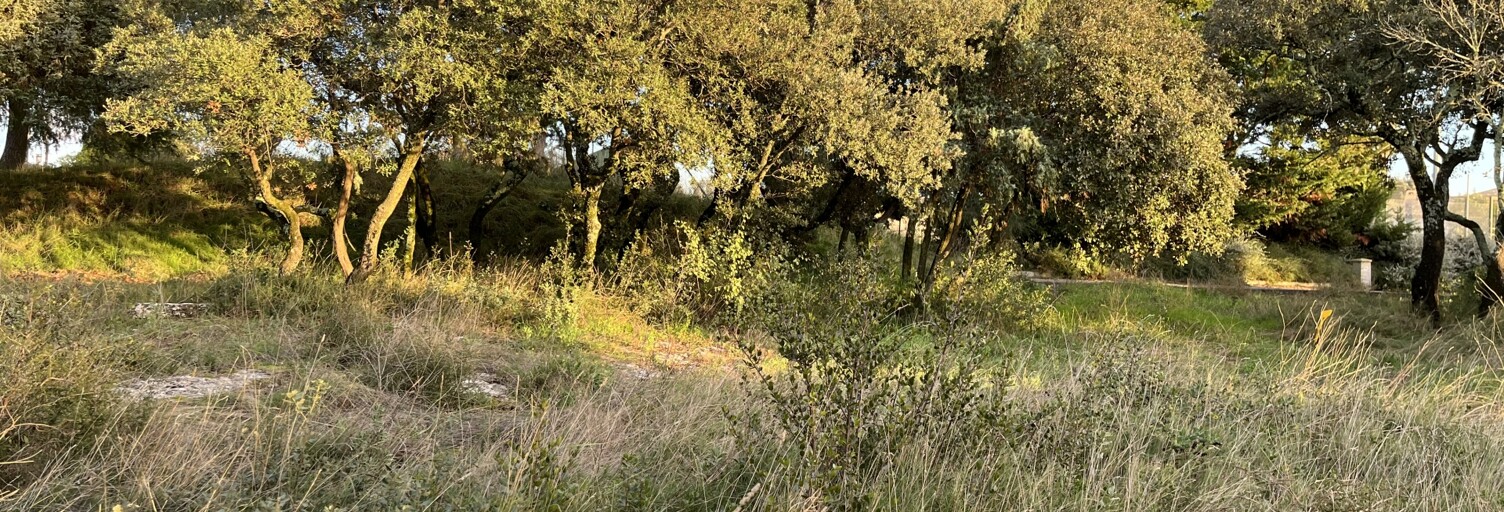 Terrain  536 m² à vendre à Saint-Maximin (30700)