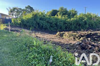 Terrain  135600 €