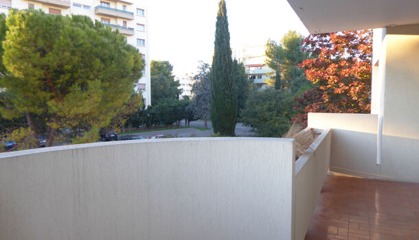 Appartement 1 pièces  à louer Montpellier 34070