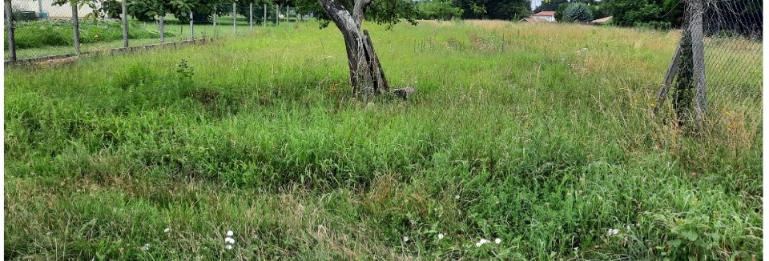 Terrain  796 m² à vendre à Le Barp (33114)