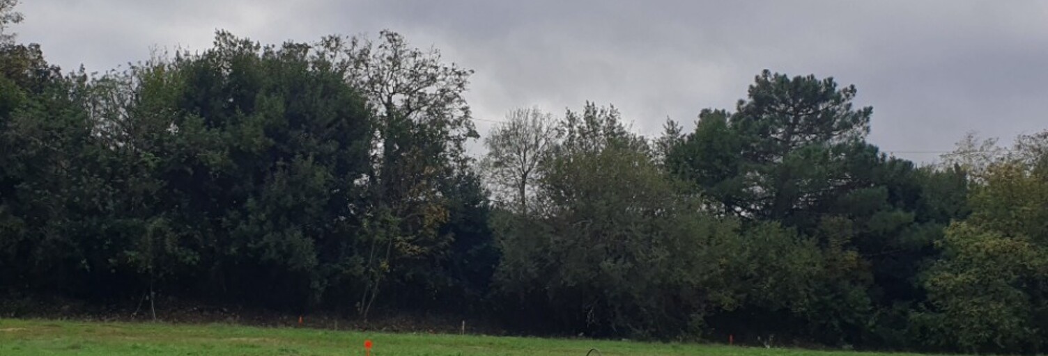 Terrain  700 m² à vendre à Bourg (33710)