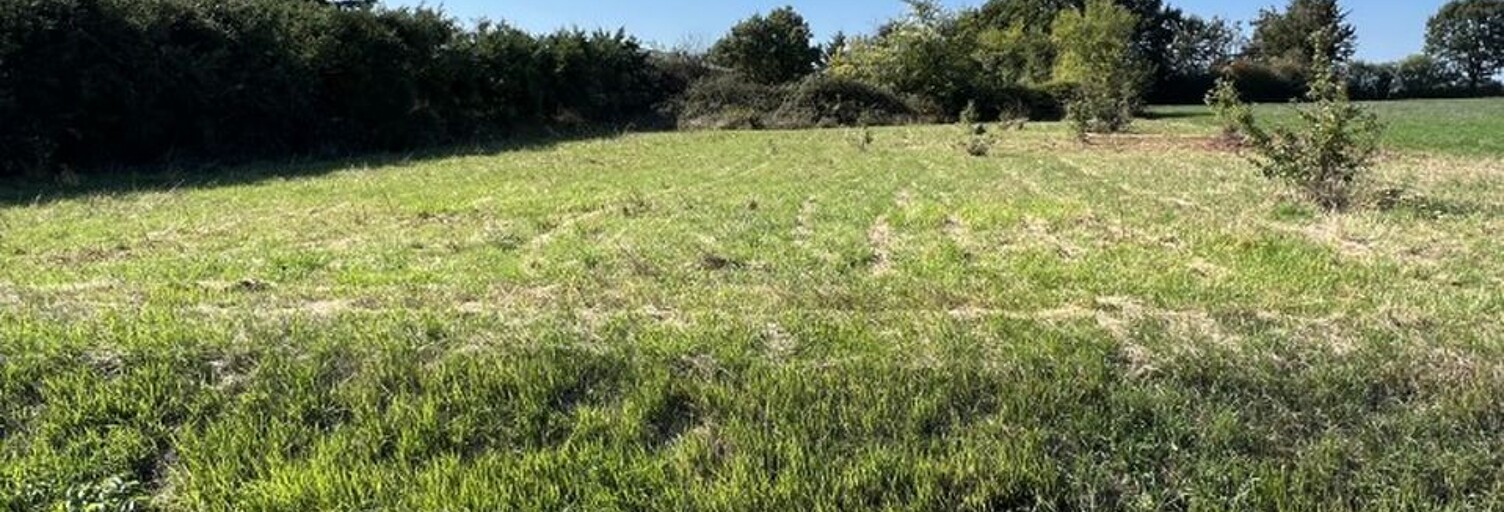 Terrain  1776 m² à vendre à Saint-Romain (86250)