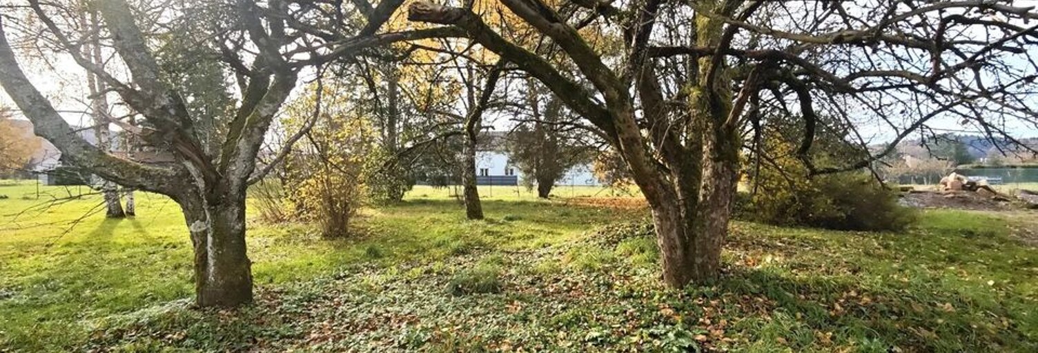 Terrain  2700 m² à vendre à Archettes (88380)