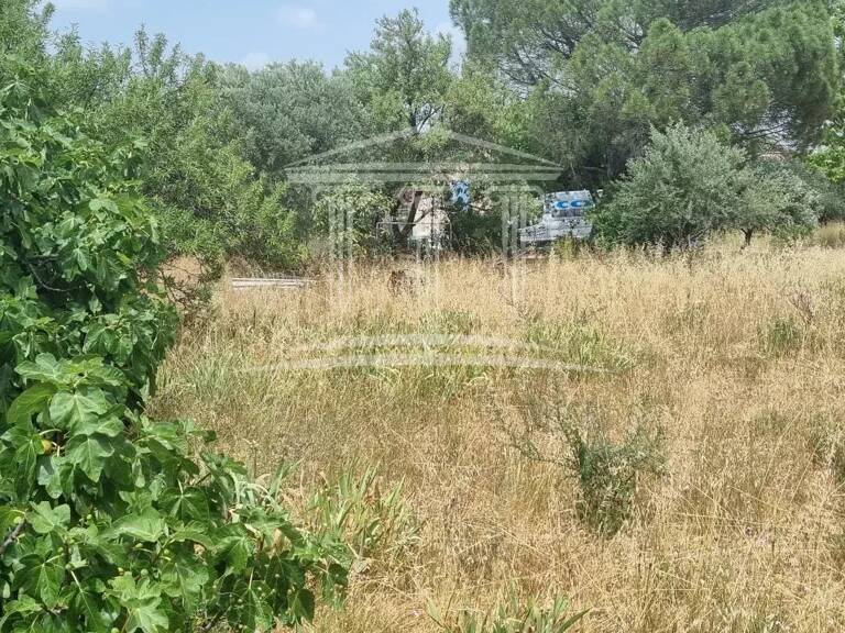 Sorgues Exclusif — photo 1
