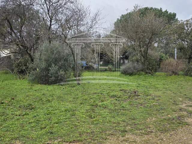 SORGUES PROCHE CENTRE — photo du bien