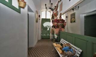 Maison 10 Pièces 445 m² à vendre à Apt (84400)