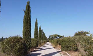 Maison 22 Pièces 1000 m² à vendre à Lédenon (30210)