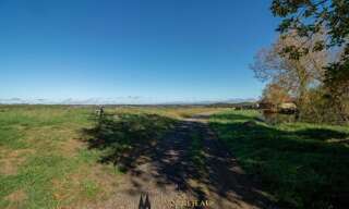 Terrain  2289 m² à vendre à Mirande (32300)