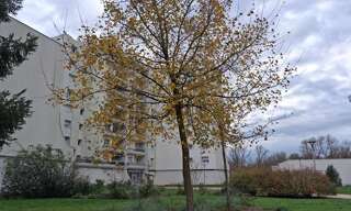 Appartement 5 Pièces 85 m² à vendre à Nevers (58000)