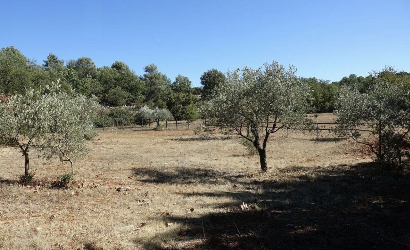 Terrain  à vendre Saint-Maximin-la-Sainte-Baume 83470