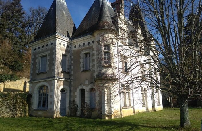 Propriete à vendre 16 pièces proche de AMBOISE (37) — photo 2