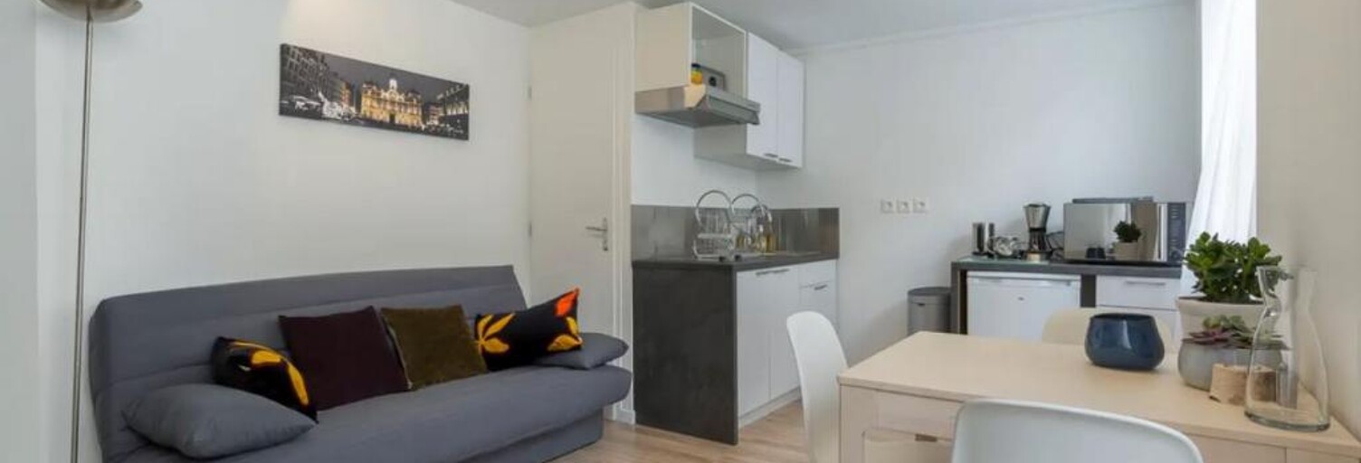 Appartement 1 Pièce 29 m² à louer à Lyon 1 (69001)