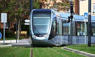 Appartement 1 Pièce 19 m² à louer à Toulouse (31000)