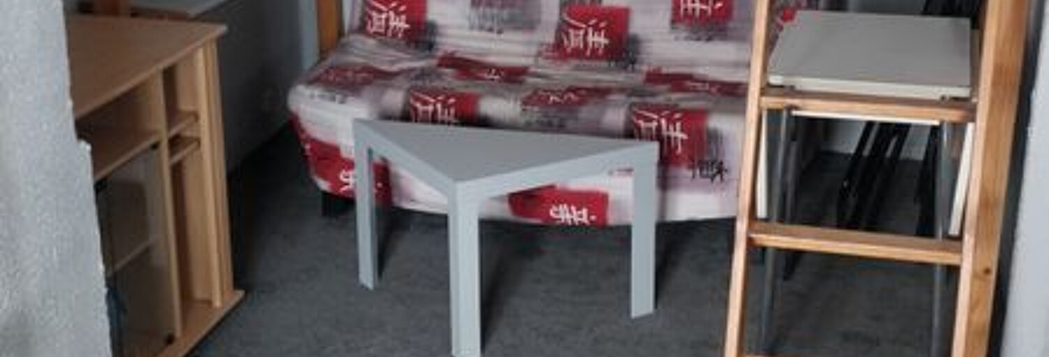 Appartement 1 Pièce 28 m² à louer à Lyon 1 (69001)