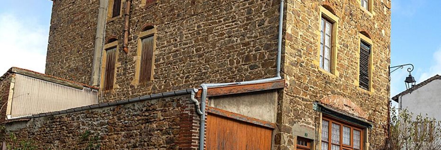 Maison 10 Pièces 300 m² à vendre à Néronde (42510)