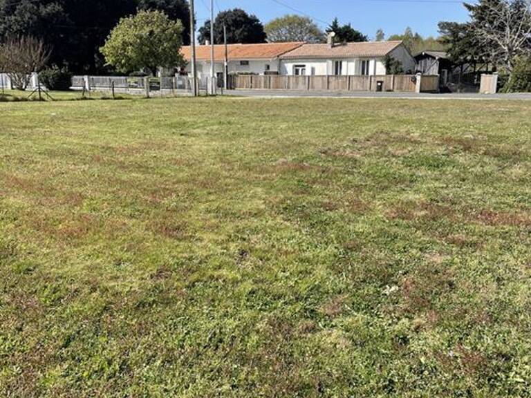 Terrain - 719m ² — photo 1