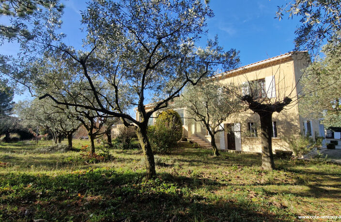 Maison traditionnelle 170 m² La Roque sur Pernes — photo 2