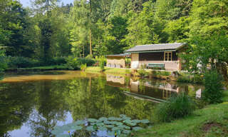 Terrain  5965 m² à vendre à Drulingen (67320)