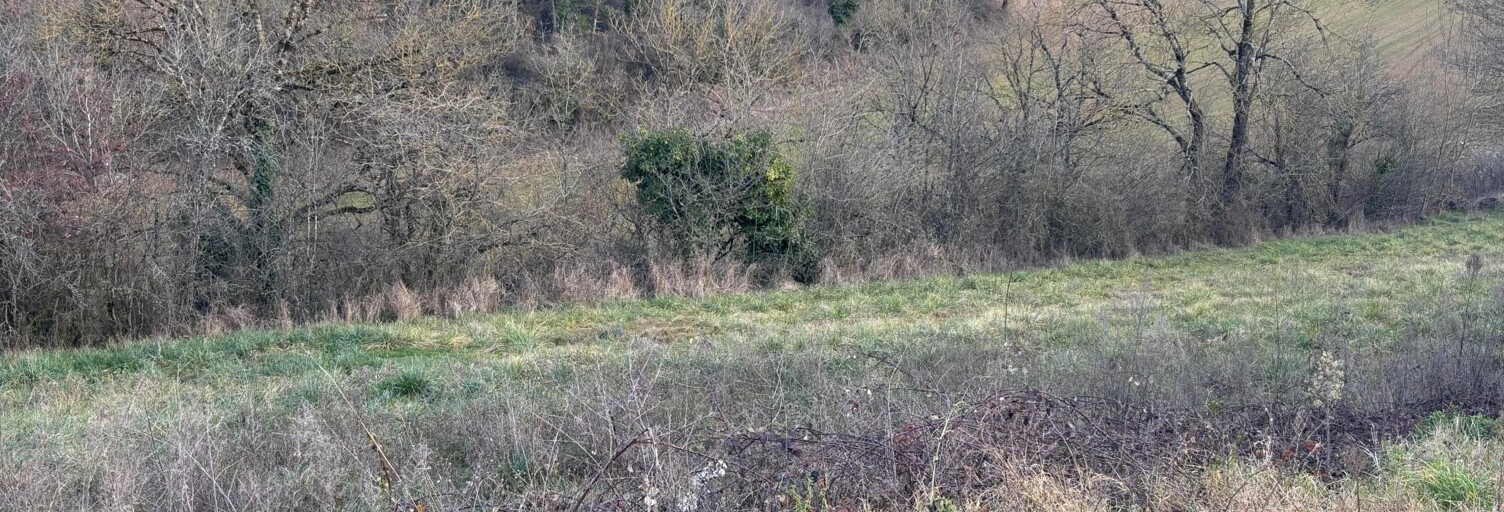 Terrain  4750 m² à vendre à Labastide-Gabausse (81400)