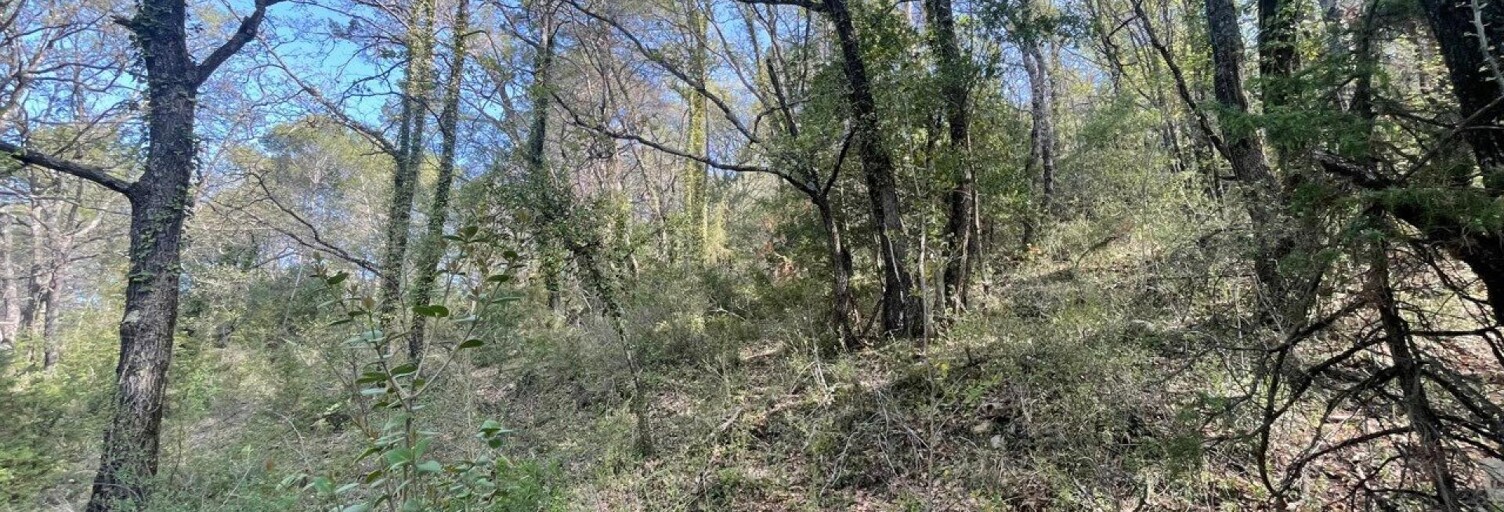 Terrain  14290 m² à vendre à Châteaudouble (83300)