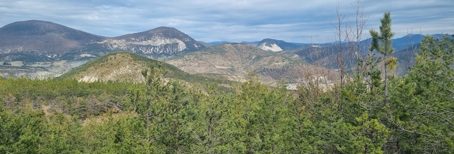 Terrain  355899 m² à vendre à Laborel (26560)