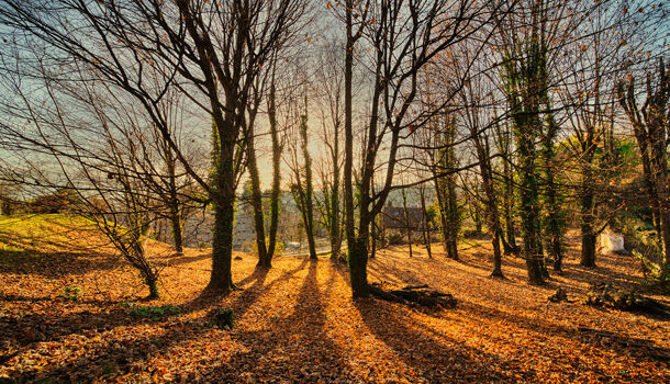 Appartement 2 pièces  à vendre Voiron 38500