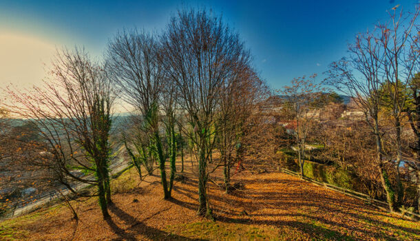 Appartement 2 pièces  à vendre Voiron 38500