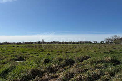 Terrain  20000 €
