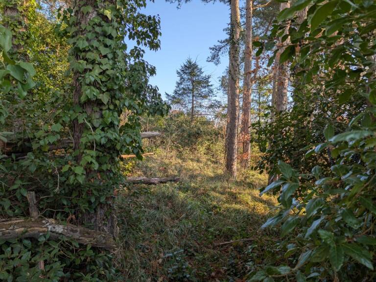 A SAISIR TERRAIN CONSTRUCTIBLE AU COEUR DE LA VILLE DE PRIVAS — photo 1