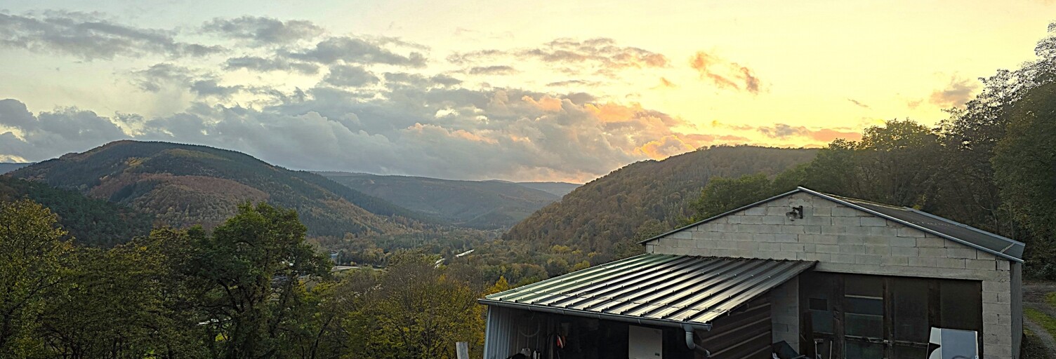 Terrain  4494 m² à vendre à Heiligenberg (67190)