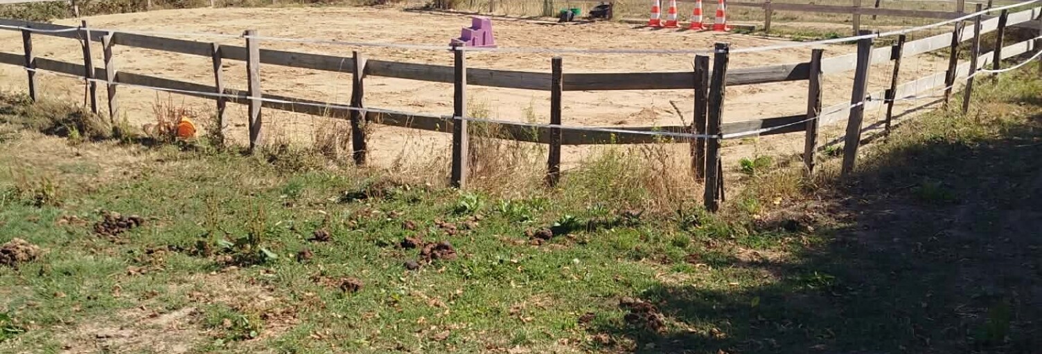 Maison 11 Pièces 206 m² à vendre à Mably (42300)