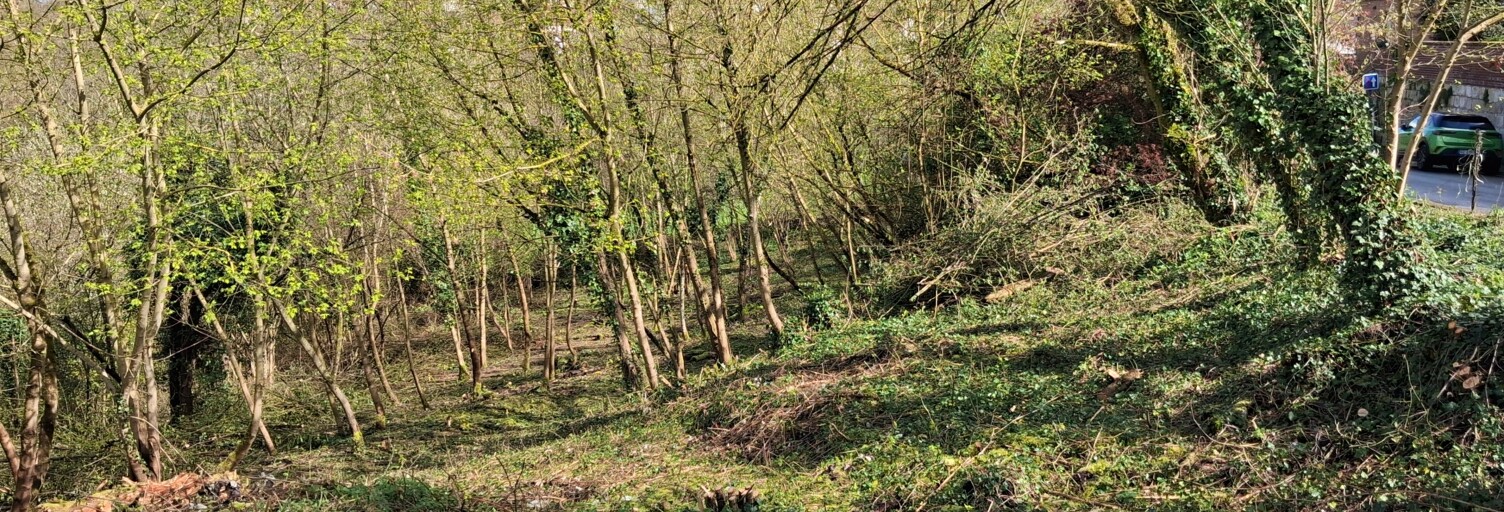 Terrain  2664 m² à vendre à Saint-Gobain (02410)