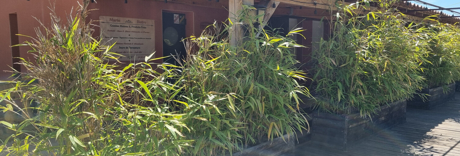 Commerce  220 m² à louer à Pierrevert (04860)