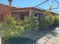 LOCAL COMMERCIAL sur 1728 m2 de terrain clos — photo 4