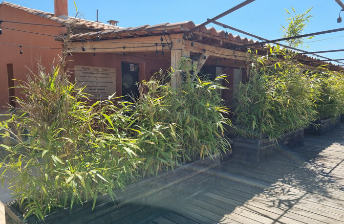 LOCAL COMMERCIAL sur 1728 m2 de terrain clos — photo 4