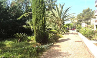 Appartement 1 Pièce 21 m² à louer à Saint-Raphaël (83700)