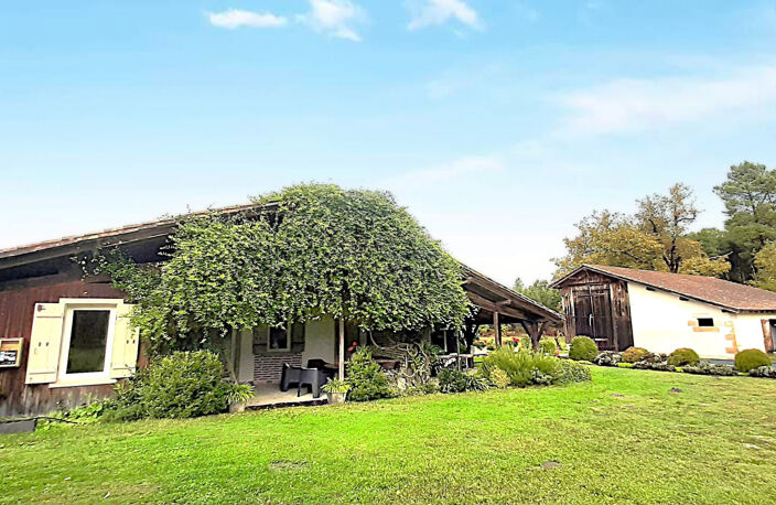 Ferme Landaise de 122m2,  3 chambres bureau, dépendances, pi — photo 2